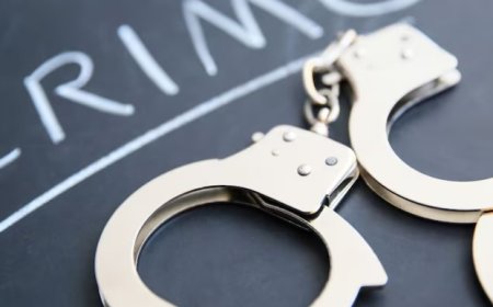 राजस्थान में अब अपराधियों की खैर नहीं, बिश्नोई गैंग पर बड़ा वार, टॉप 25 मोस्ट वांटेड की लिस्ट जारी