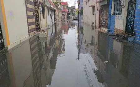 बारिश की पानी से जूझ रही जनता...  वार्ड क्रमांक 35 बारिश के पानी से हुआ लबालब...