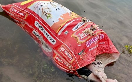 शराब, प्रेम विवाद और ताश की बाजी बनी मौत की वजह 