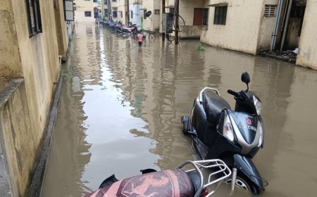 रायपुर बारिश - मीडियाकर्मी कॉलोनी में घुटनों तक जलभराव, हर साल दोहराई जाती है परेशानी