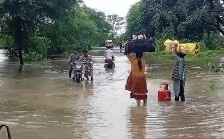 रायपुर बारिश - बारिश के बाद दलदल बन गया दलदलसिवनी, बायपास रोड पर भरा पानी बना राहगीरों की मुसीबत