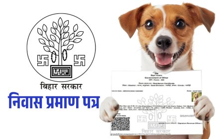 "बिहार में का होता ..." "नाम डॉग बाबू, पिता कुत्ता बाबू..."