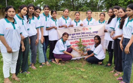 विजय कारगिल दिवस 