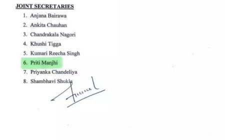 फेरबदल  युवा कांग्रेस की नई राष्ट्रीय कार्यकारिणी घोषित