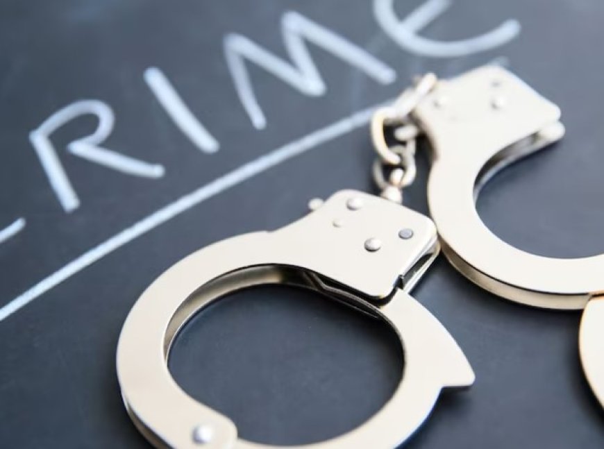 राजस्थान में अब अपराधियों की खैर नहीं, बिश्नोई गैंग पर बड़ा वार, टॉप 25 मोस्ट वांटेड की लिस्ट जारी