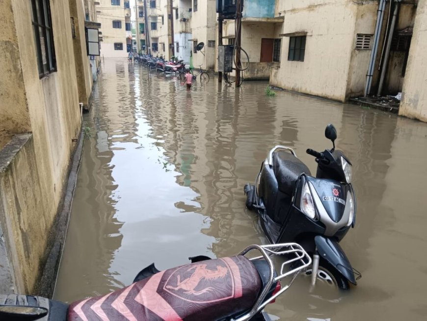 रायपुर बारिश - मीडियाकर्मी कॉलोनी में घुटनों तक जलभराव, हर साल दोहराई जाती है परेशानी