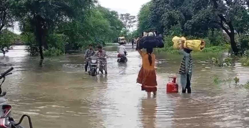 रायपुर बारिश - बारिश के बाद दलदल बन गया दलदलसिवनी, बायपास रोड पर भरा पानी बना राहगीरों की मुसीबत