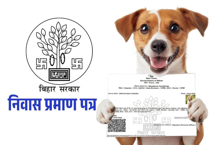 "बिहार में का होता ..." "नाम डॉग बाबू, पिता कुत्ता बाबू..."