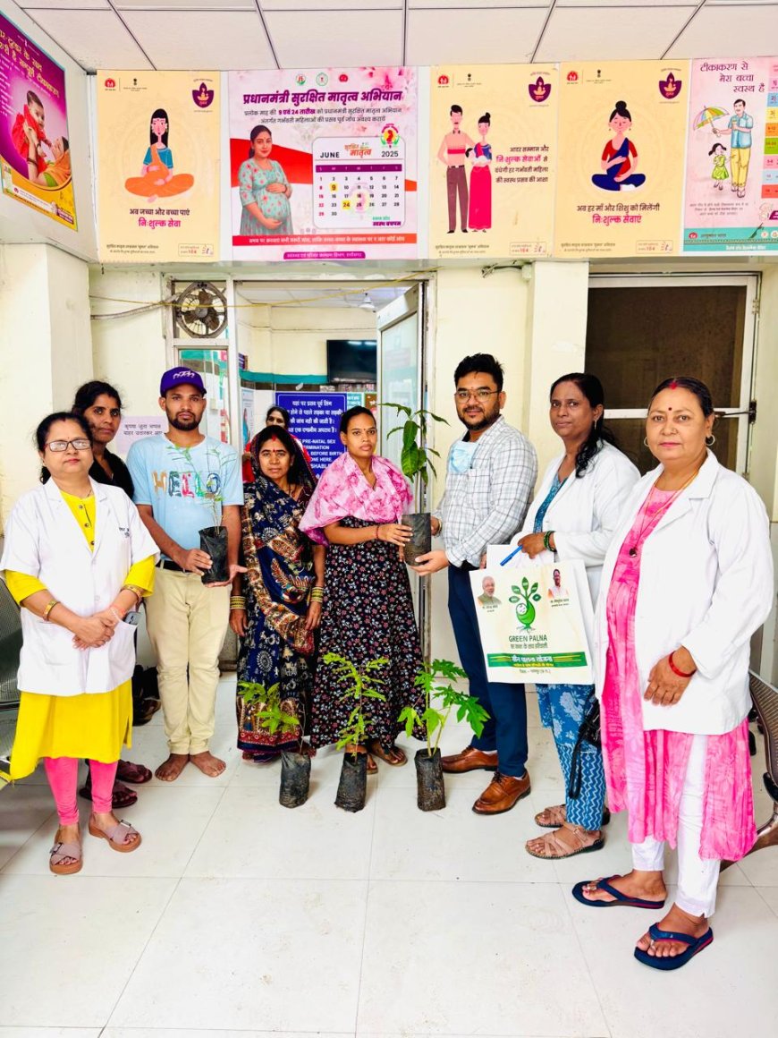 ग्रीन पालना अभियान: नए जीवन के साथ हरियाली की शुरुआत