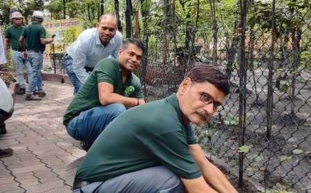 पर्यावरण बचाने की पहल, बिनोद कुमार अग्रवाल ने किया पौधरोपण