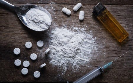 कमल विहार बना ड्रग्स हब! , पाकिस्तान से रायपुर तक नेटवर्क 