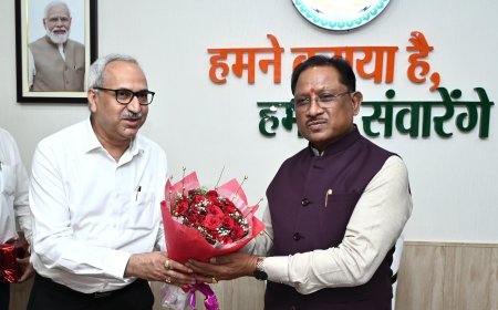 मुख्यमंत्री से मिले भिलाई स्टील प्लांट के नवनियुक्त निदेशक 