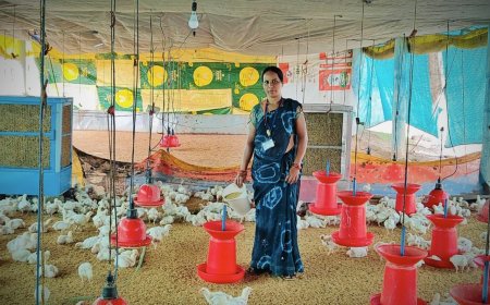 आत्मनिर्भरता और सम्मान 