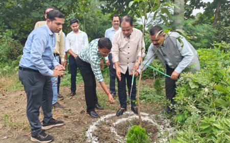 आईटीआई में कलेक्टर ने किया पौधारोपण