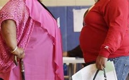 मोटे यात्रियों से एयरलाइंस वसूलेगी डबल किराया!