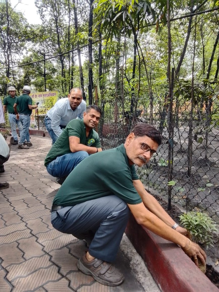 पर्यावरण बचाने की पहल, बिनोद कुमार अग्रवाल ने किया पौधरोपण