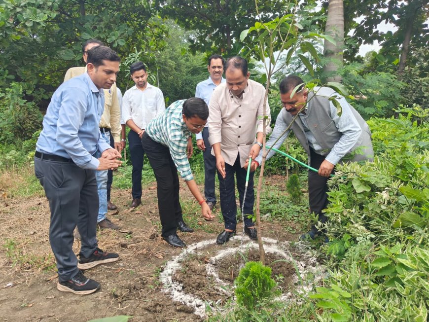 आईटीआई में कलेक्टर ने किया पौधारोपण