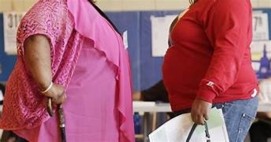 मोटे यात्रियों से एयरलाइंस वसूलेगी डबल किराया!