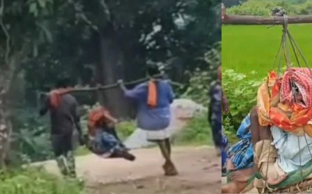 छत्तीसगढ़ : एंबुलेंस न मिलने पर मरीज को टोकरी में बैठाकर 25 KM दूर अस्पताल ले गए परिजन.