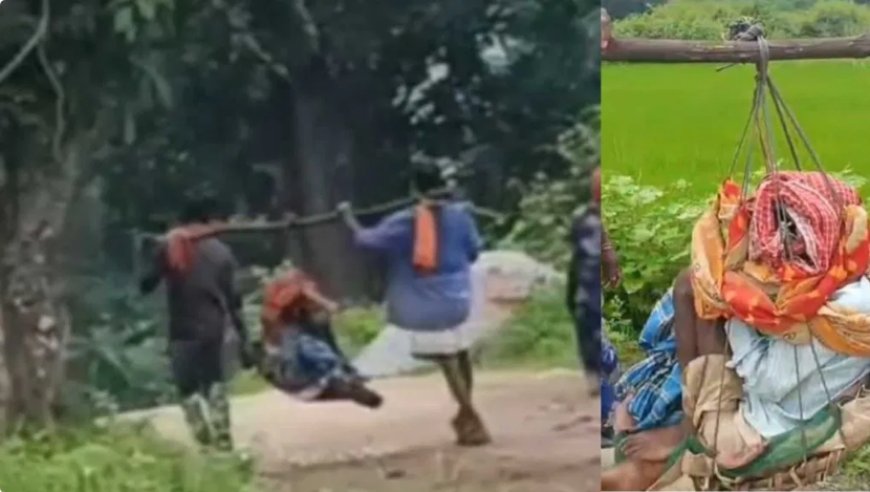 छत्तीसगढ़ : एंबुलेंस न मिलने पर मरीज को टोकरी में बैठाकर 25 KM दूर अस्पताल ले गए परिजन.